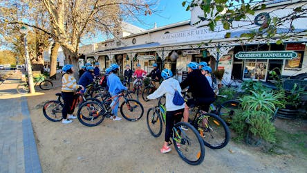 Stellenbosch guided bike tour